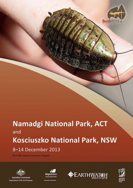 ACT NSW 2013