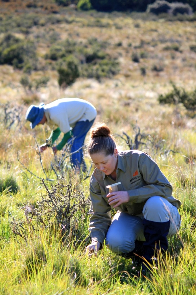 (c) Cassandra Nichols - Lily Smith and James Wood collecting seeds compressed