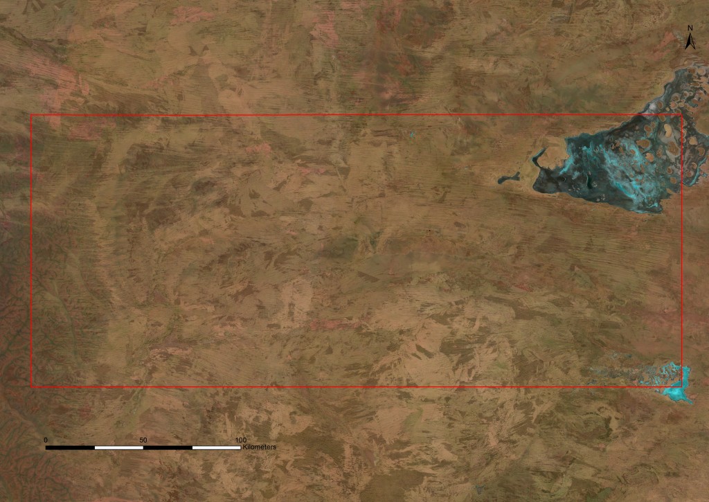 Kiwirrkurra IPA BushBlitz