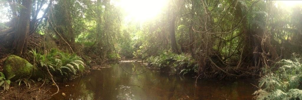 Croajingalong National Park © B. Paton