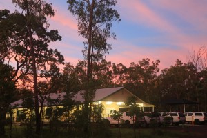 Another busy day begins: the field lab at dawn