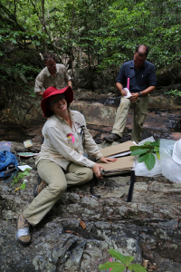 Raelee Kerrigan, Stuart Worboys and Darren Crayn press plant collections deep in a rainforest gully