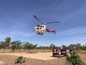 The spider and fish teams on board the chopper, heading out for their first collecting trips. 