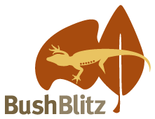 BushBlitz