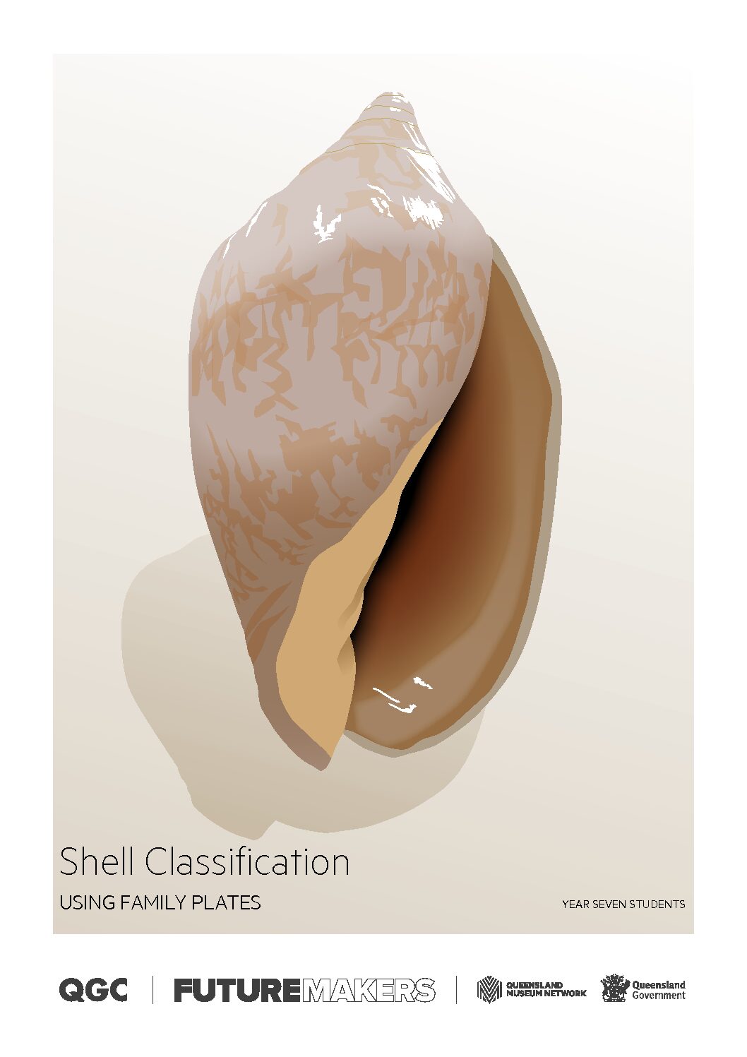 shell classification