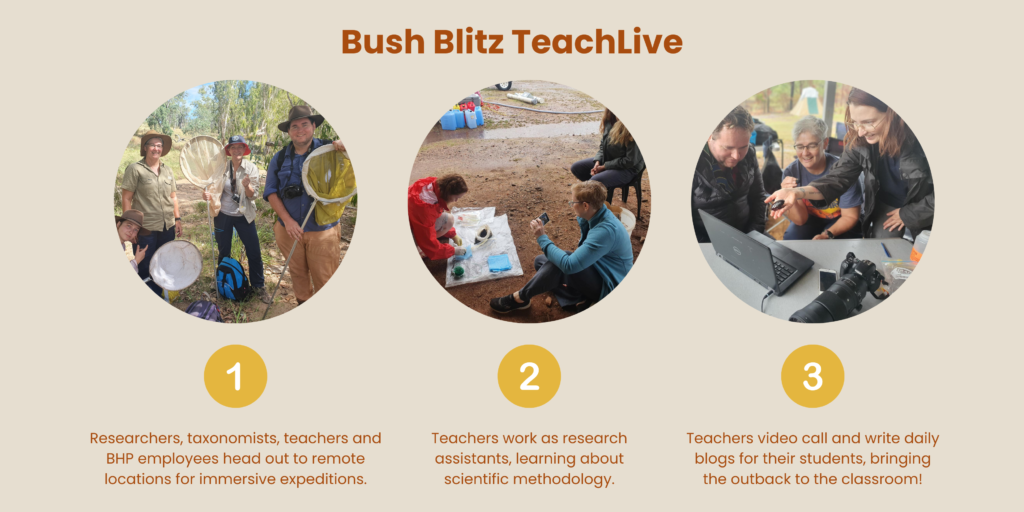 Graphic outlining the Bush Blitz TeachLive model