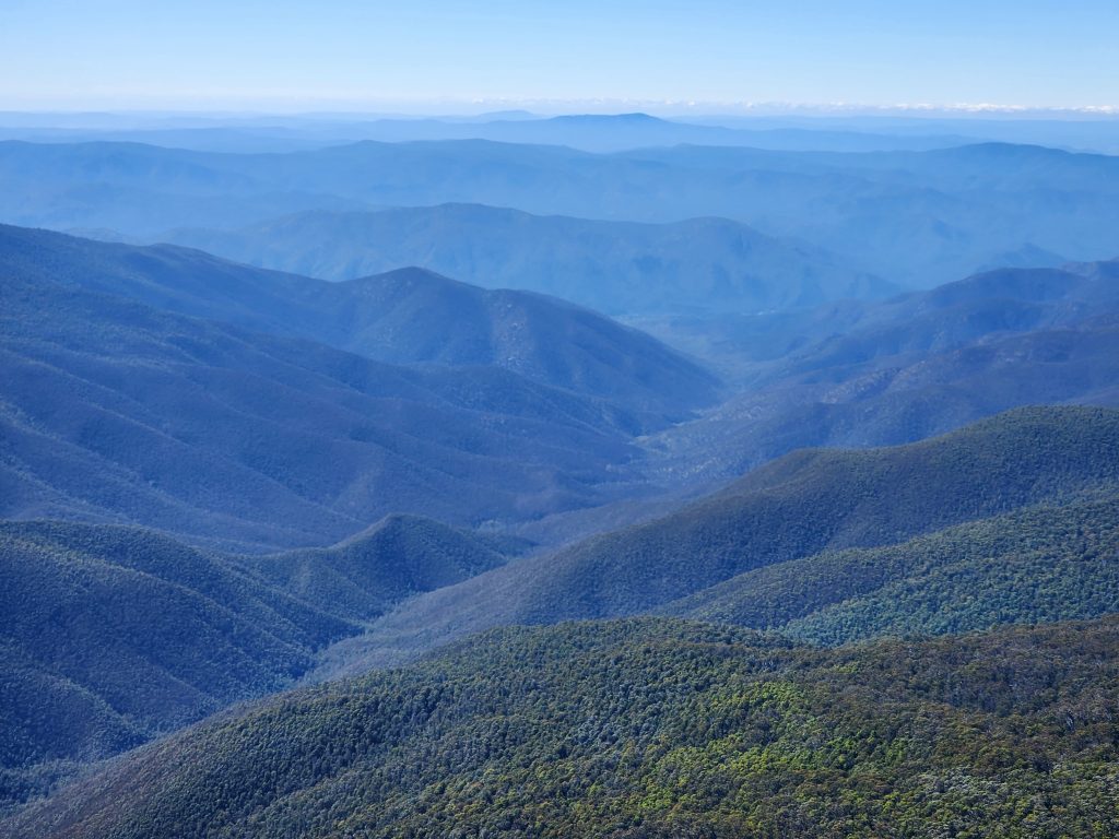 BushBlitz - Uncovering Australia's vast biodiversity