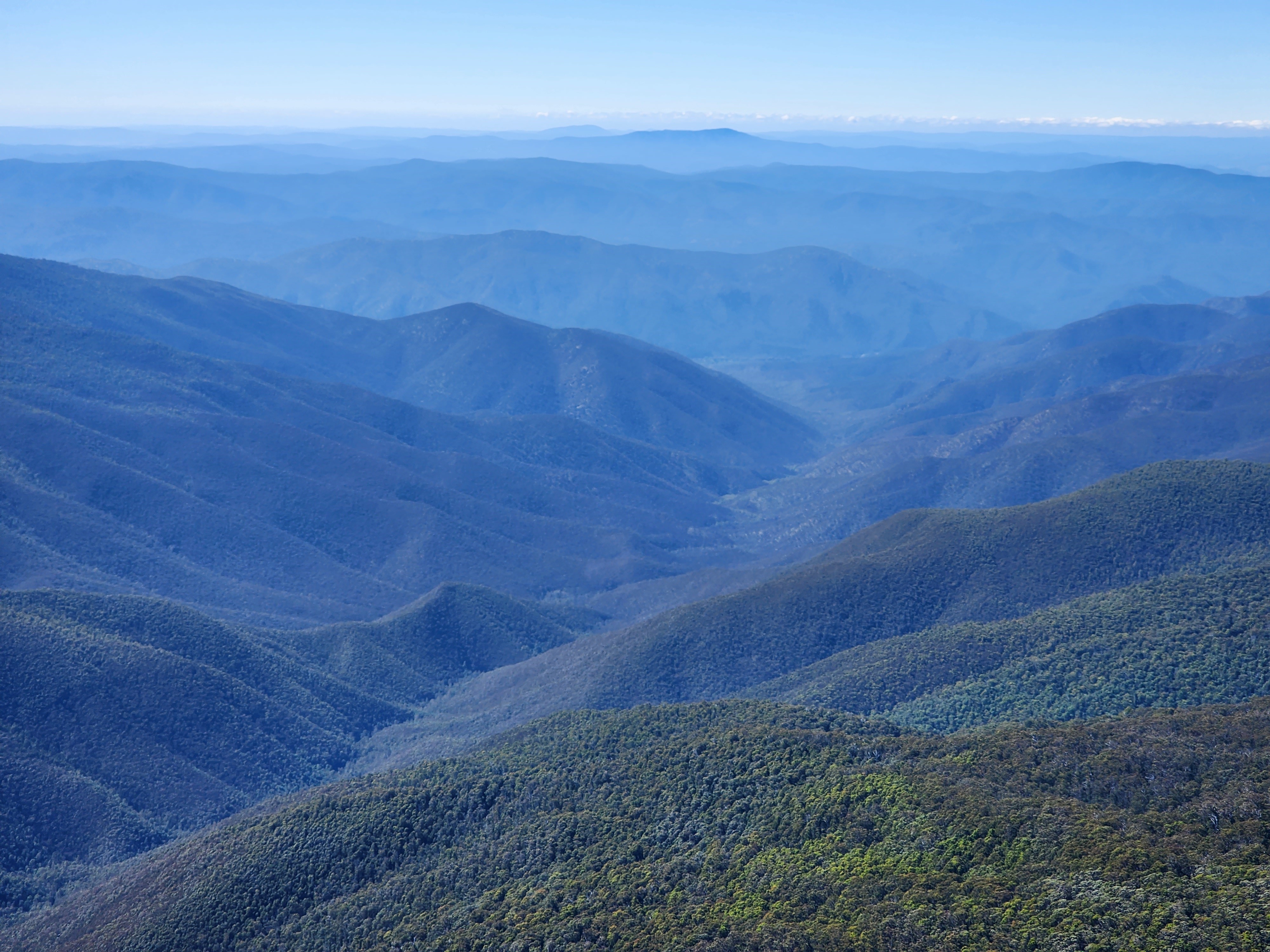 Bushblitz Uncovering Australias Vast Biodiversity 2502