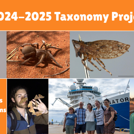 Images of some of the 11 lead scientists from 9 institutions and the 84 species involved in the taxonomy projects.