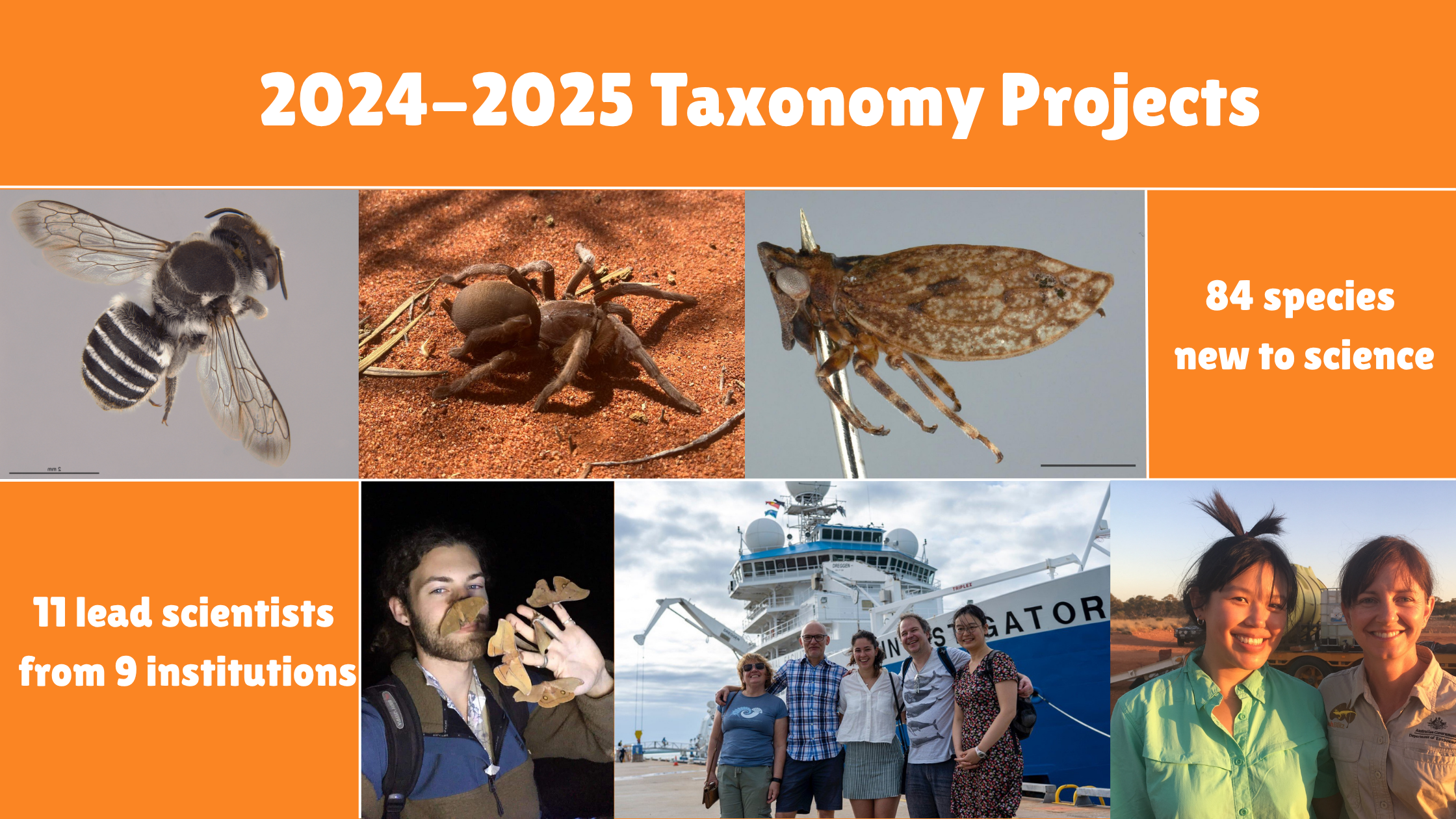 Images of some of the 11 lead scientists from 9 institutions and the 84 species involved in the taxonomy projects.