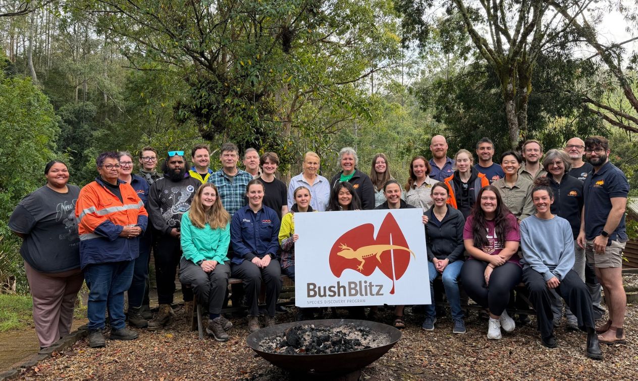 Some members of the Barrington Tops Bush Blitz team