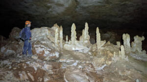Coralline stalagmites in cave chamber © Steve Milner