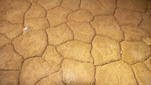 Pristine cave sediments in floor of cave used by spiders © Steve Milner