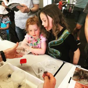 Budding scientists show no fear of a large Huntsman spider discovered during the Bush Blitz