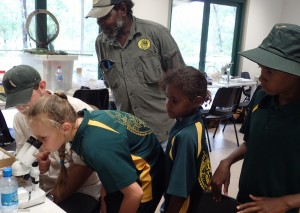 Laura Ranger Uncle Roy Banjo studies true bugs during the Laura School laboratory visit (image S. Nally)    
